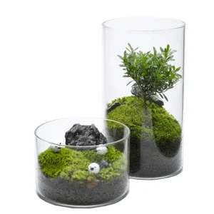 przezroczyste szklane wazony